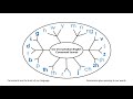 Australian Consonant Sounds Diagram