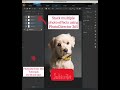 Stack Photo Effects | New PhotoDirector 365 LUTS