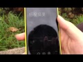 【中村】Nokia Lumia 720 評測