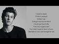 Shawn Mendes - Mutual (lyrics)