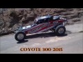 COYOTE 300 2015