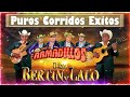 Dueto Bertin y Lalo, Dueto Los Armadillos - Puros Corridos Exitos - Corridos y Rancheras 2023