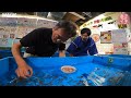 金魚すくいプロの名人芸 コツはポイの角度！| あさイチ | NHK