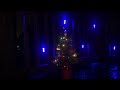 Soft Singing ASMR “Blue Christmas” (Brian Wilson)