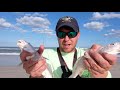 Surf Fishing Florida! How to Surf Fish. Beginners Surf Fishing Top 5 Tips!