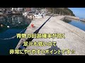 【ショアジギング】4月上旬☆和歌山・堤防♪言いたくないですが．．．青物回遊します(´・ω・)