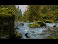 Beautiful Nature Video in 4K (Ultra HD) - Autumn River Sounds - 5 Hours Long