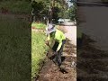 #oddlysatisfying #trending #fypシ #viral #lawncare #drakelawncare #explore