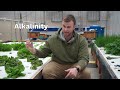 Why NITRIFICATION matters in AQUAPONICS!