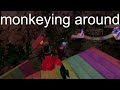 monkeying around