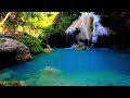 Atmospheric Relaxing Nature With Natural Sounds, Deep Sleep, Absolute Calmness