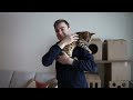 Bengal cat becomes a homeowner with cardboard cat house tower playground | Ep 14