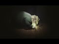 Little Nightmares All Deaths & Captures