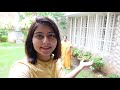 MY HOME GARDEN TOUR 🌿 our houseplant collection | Kritika Goel