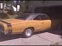 Super bee