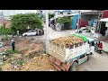 Opening New Project Landfill by Bulldozer Pushing Dirt with 5 ton Trucks