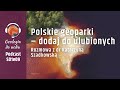 Polskie geoparki. Geopark Kraina Wygasłych Wulkanów | Geologia do ucha