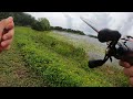 Florida frog fishing in deep vegetation
