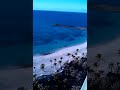 Cove Atlantis Bahamas deluxe ocean view