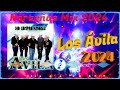 Las Mejores Canciones de Los Ávila en 2024 🎶 LAS MEJORES COLECCIONES PURAS DE LOS ÁVILA 2024