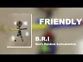 9. Friendly - BRI