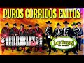 Los Terribles Del Norte Sus Mejores,Los Tucanes De Tijuana MIx Para Pistear - Puros Corridos Exitos