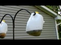 How to make a Homemade Fly Trap