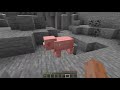 Minecraft, but Pig Steps are Pigstep