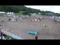 Royal Canin - Horse Dog Relay - Kalle-B