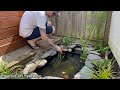 DIY Mini *Wildlife* Pond. (step-by-step)