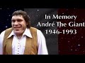 THE EVOLUTION OF ANDRÉ THE GIANT TO 1973-1993