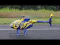 Roban MD-500E 800 size Helicopter