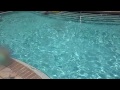 Testing my DSC-TX30 underwater - My very first underwater test video I did with the TX30