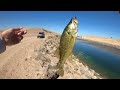 Summertime Fishing in the Imperial Valley