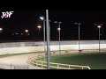 Greyhound Racing: Track Race Competition