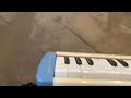 Playing the BFDI Intro on a Melodian