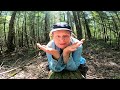 🔥Wild Flowers | Spring Mushrooms | Fire Tower Climb🔥#foraging, #flowers, #mushrooms