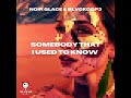 Somebody That I Used To Know - Afro House (Extended Mix)