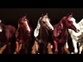 Breyer Model Horse Collection Tour / May 2018
