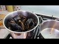 Moules Marinière - The Classic French Mussel Dish