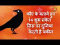 कौए के बताये हुए 14 शुभ संकेत  |कौए से जुड़े शकुन-अपशकुन |  Crow gestures as per hindu beliefs