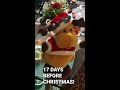 TIKTOK CHRISTMAS COUNTDOWN...17 DAYS BEFORE CHRISTMAS!!! SHARED BY BUSINESS HUB GROUP