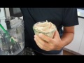 Recette rapide : glace onctueuse avec 1 seul ingrédient !