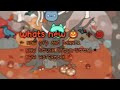 Theme divider ◌ ₊˚⊹⋆ 🐈‍⬛🎃 || ib : simplii || Toca Boca Life World