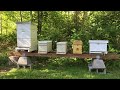 My Apiary Setup