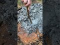 How to burn a stump “easy”￼