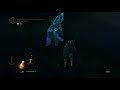 dark souls - part 5: the hydra and the cat