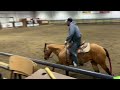 Jessie James Cooke aka Tuck AQHA Gelding