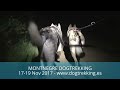 MONTNEGRE-DOGTREKKING 2017....