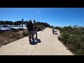 Belgian Malinois at GOLDEN GATE PARK in San Francisco